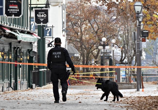 A K-9 unit police officer walks one of several sites of stabbings in Quebec City, Sunday, Nov. 1, 2020. THE CANADIAN PRESS/Jacques Boissinot