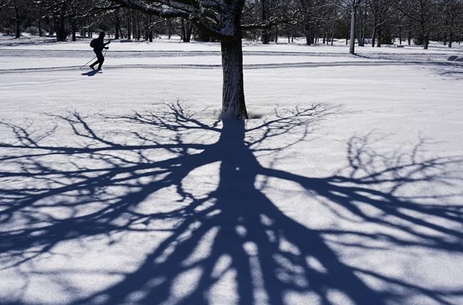 A cross-country skier glides along the banks of the Ottawa River in Ottawa on Thursday, Feb. 25, 2021. Canadians across the country can look forward to a mild spring peppered with the odd winter flashback throughout the first part of the season, according to predictions from one prominent national forecaster. THE CANADIAN PRESS/Sean Kilpatrick