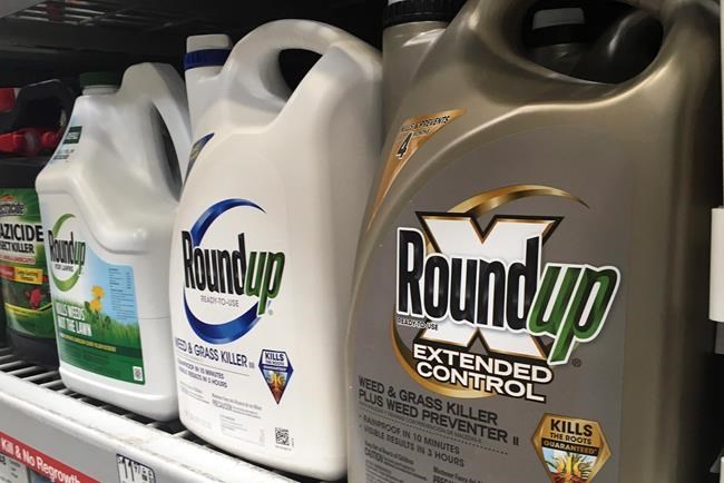 In this Feb. 24, 2019, file photo, containers of Roundup are displayed on a store shelf in San Francisco. A city north of Montreal has become the first in the province to forbid the use glyphosate. THE CANADIAN PRESS/AP/Haven Daley