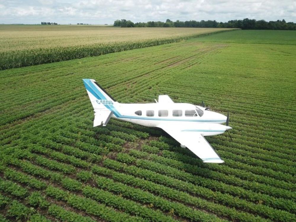 WAND TV
The plane came to rest in a soybean field.