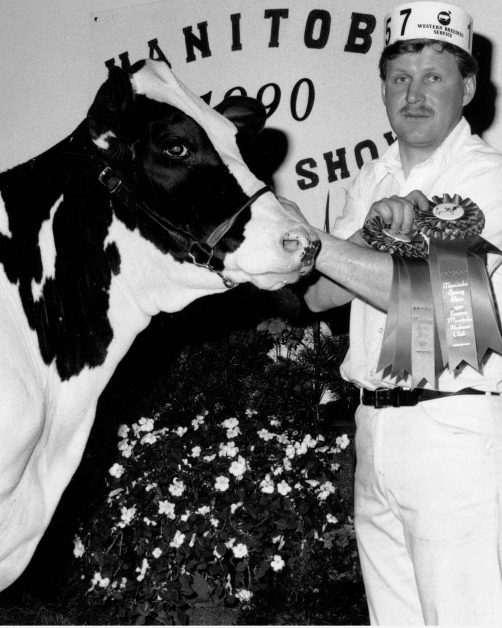 WES KEATING / THE CARILLON
Art Peters at the halter of Hanson Sultan Icicle, the best female junior heifer at the 1990 Manitoba Spring Show at La Broquerie.