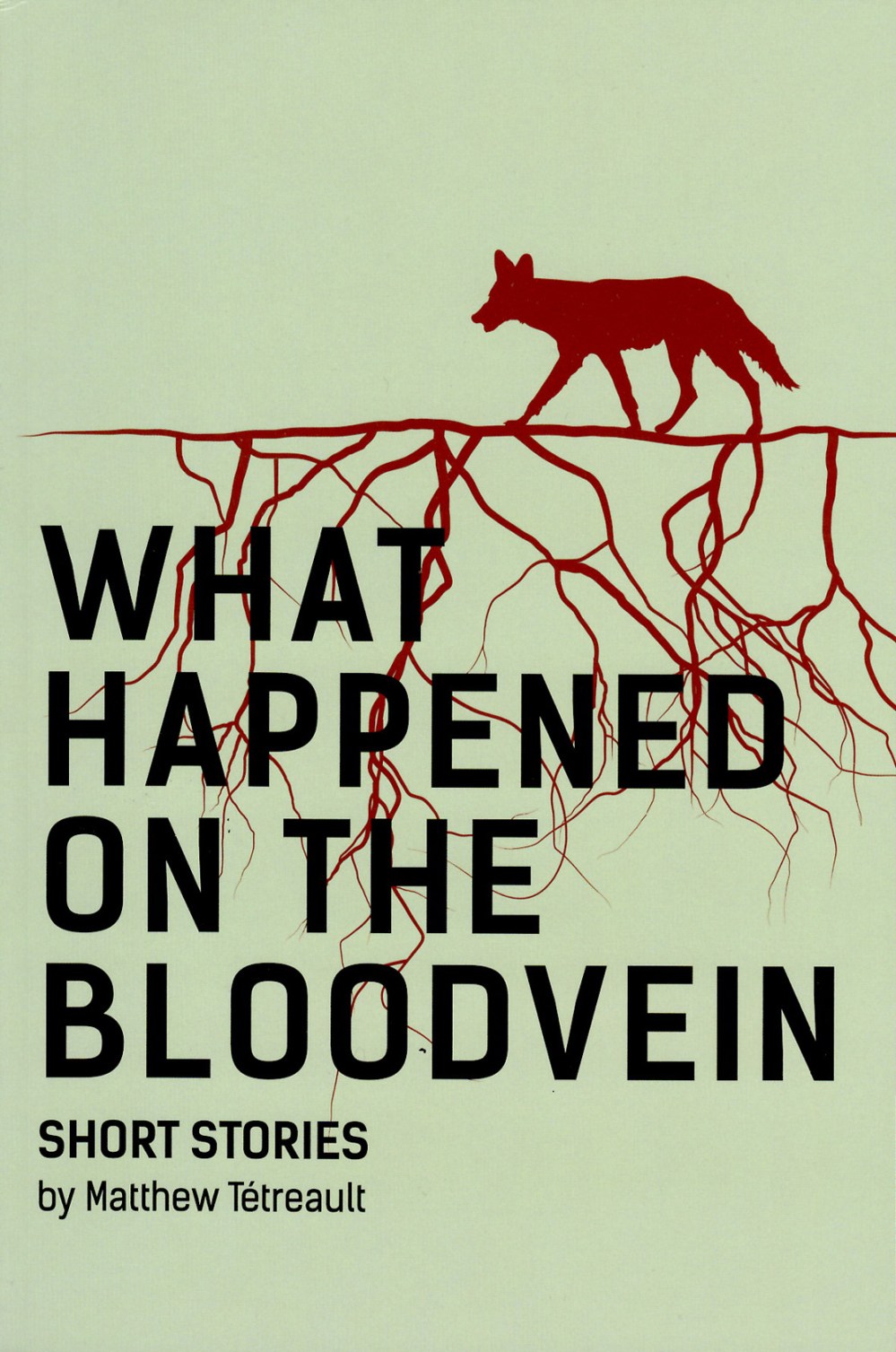 SUBMITTED PHOTO
The debut novel of Ste Anne-born author Matthew Tetreault delves into a fictional retelling of life in southeastern Manitoba.