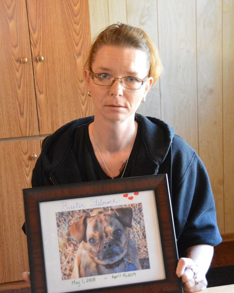 DAVE BAXTER | THE CARILLON
Marchand resident Rosalie Stelmack holds up a picture of her beloved dog Buster who passed away suddenly last week after ingesting poison. She now says she and others are on edge as they fear someone may be purposely poisoning animals in the area.