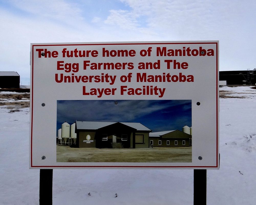 WES KEATING / THE CARILLON
In the not too distant future, the sign will come down and the building will go up at the Manitoba Egg Farmers Layer Research Centre.