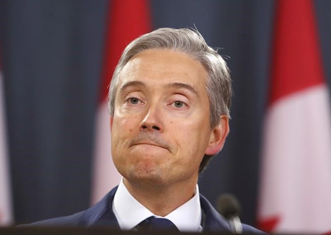 Foreign Affairs Minister Minister Francois-Philippe Champagne holds a new conference to provide an update on the plane crash in Iran, in Ottawa Friday, January 10, 2020. THE CANADIAN PRESS/Fred Chartrand
