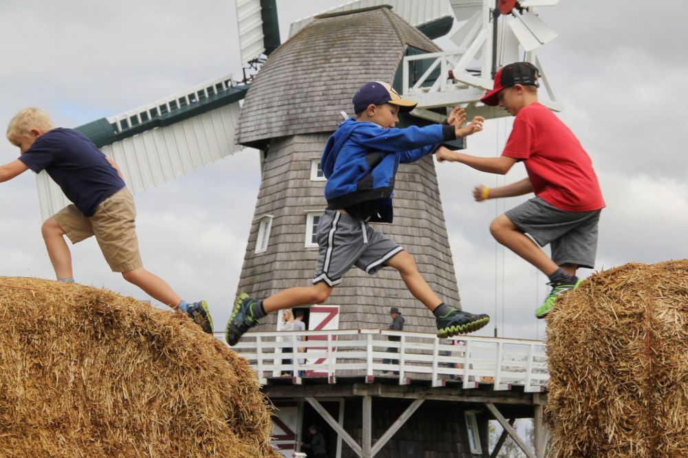 IAN FROESE | CARILLON ARCHIVES
Fall on the Farm returns to the Mennonite Heritage Village on Monday.
