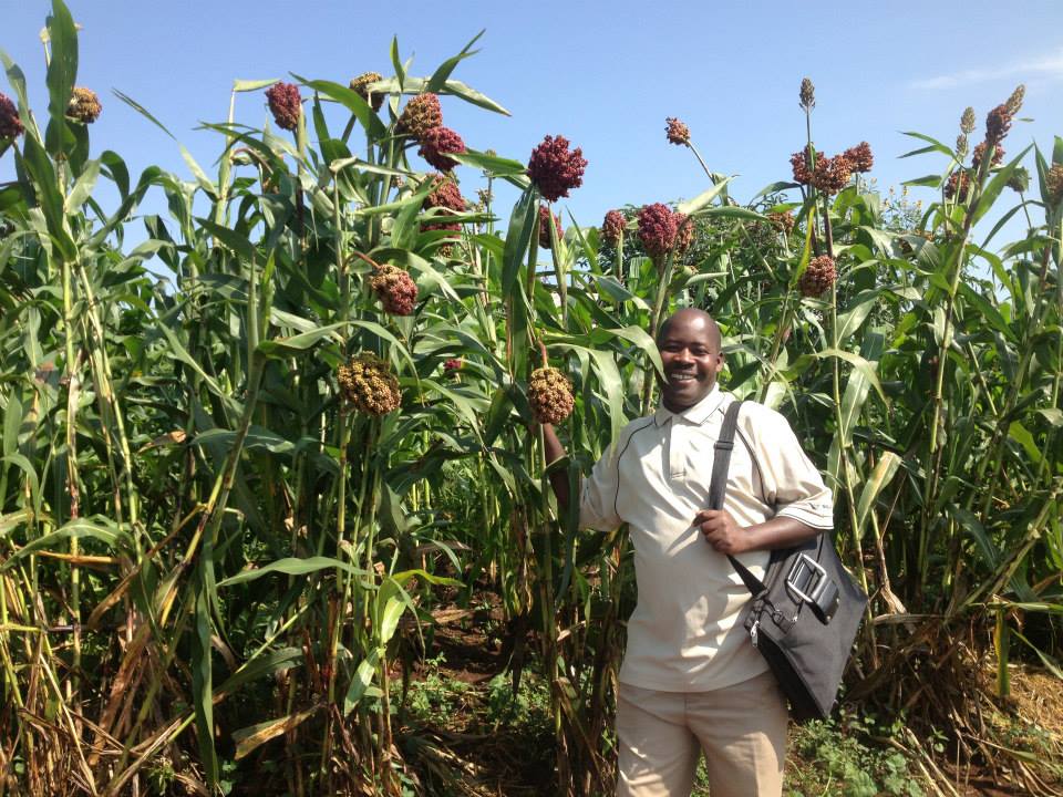 SUBMITTED PHOTO
Pastor Godfrey Byaruhanga of Uganda with a crop which, once harvested, can use its leftover biomass to make fuel.