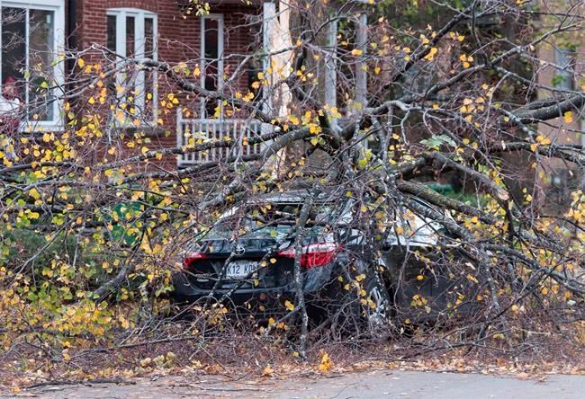 Crews restore power across Quebec after almost one million customers ...