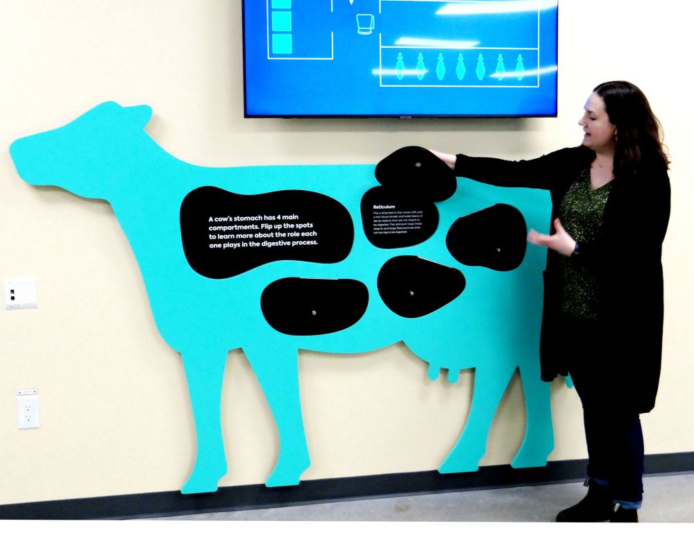 WES KEATING / THE CARILLON
Bruce D. Campbell Farm and Food Discovery Centre manager Kristen Matywchuk lifts a panel to allow visitors to learn about the function of each of a cow’s four stomachs.