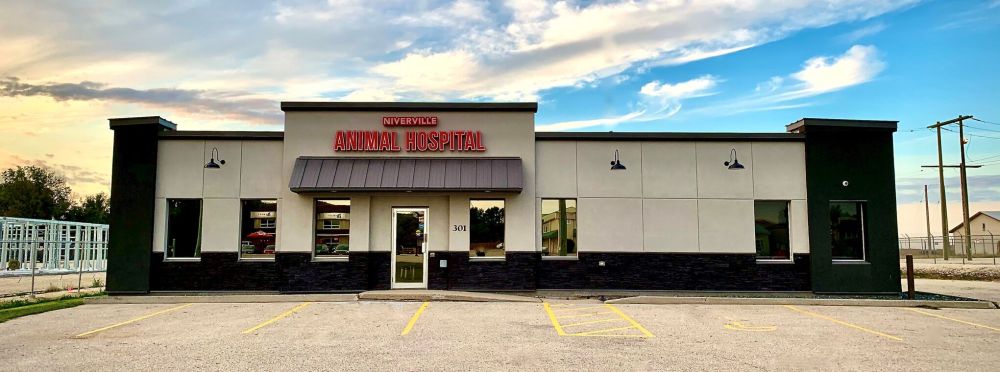 SUBMITTED PHOTO
South-East Veterinary Hospital recently opened a second location in Niverville that they have called the Niverville Animal Hospital.