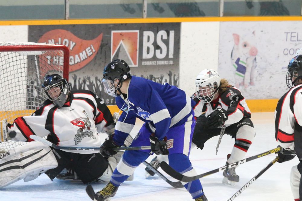 Terry Frey/The Carillon archives
The Steinbach Huskies and Red River Mudbugs, pictured here during a game last January, are two of nine teams that will be competing in the growing HTJHL this season.