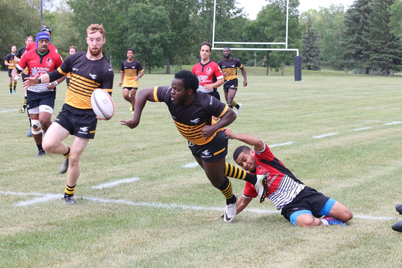 Warriors’ rugby plays waiting game – The Carillon