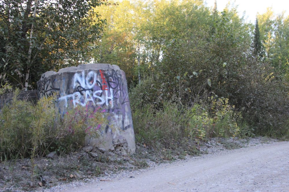 NICOLE BUFFIE THE CARILLON
Trash left by visitors on land and in the water has become an issue at Reynolds Ponds in recent years.