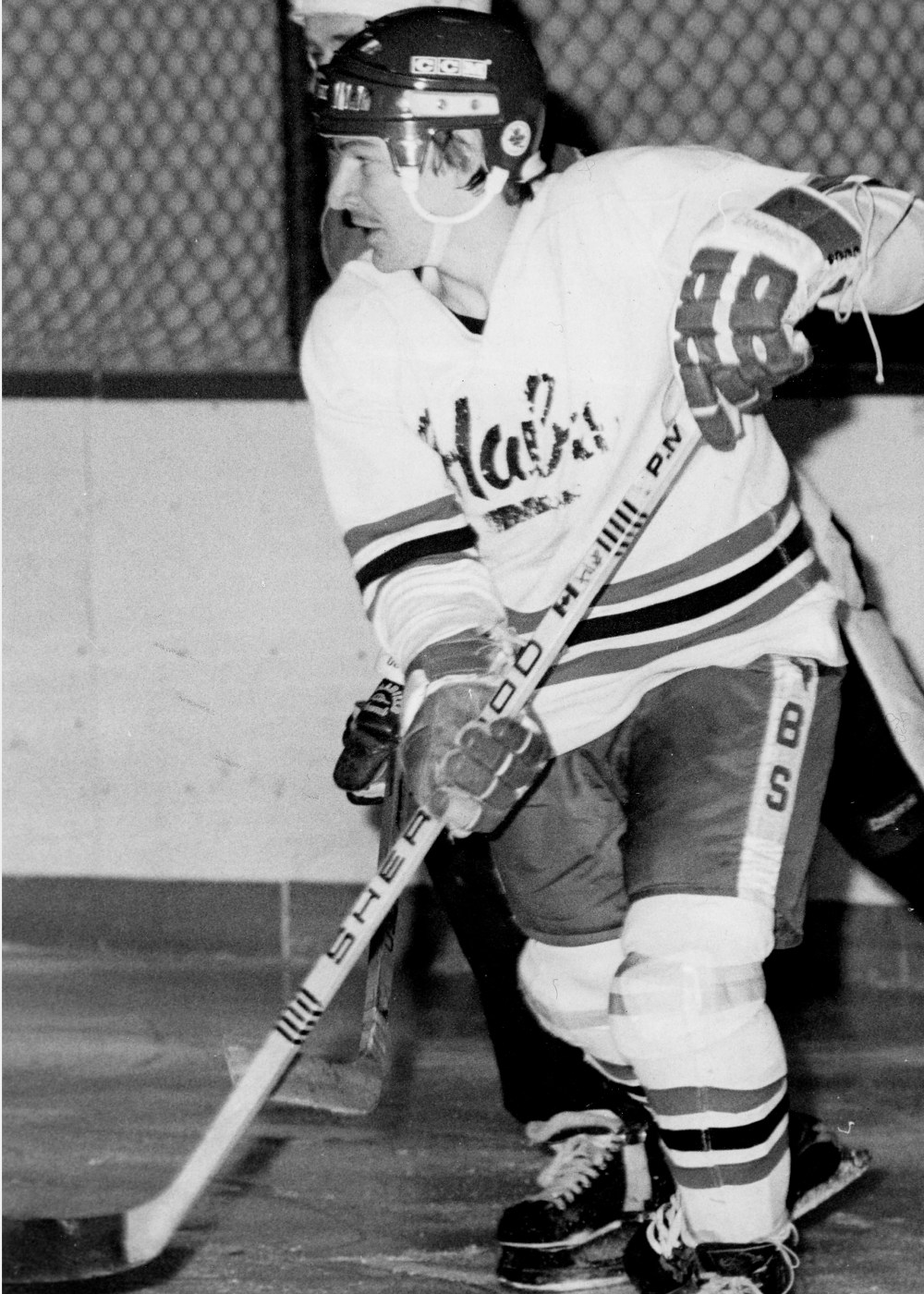 Fern Piche scored five goals to lead a trio of La Broquerie Habs to a 16-point outing in a 10-9 victory for the South Division over the North Division in the annual Hanover Tache Hockey League All-Star Game at St Pierre.