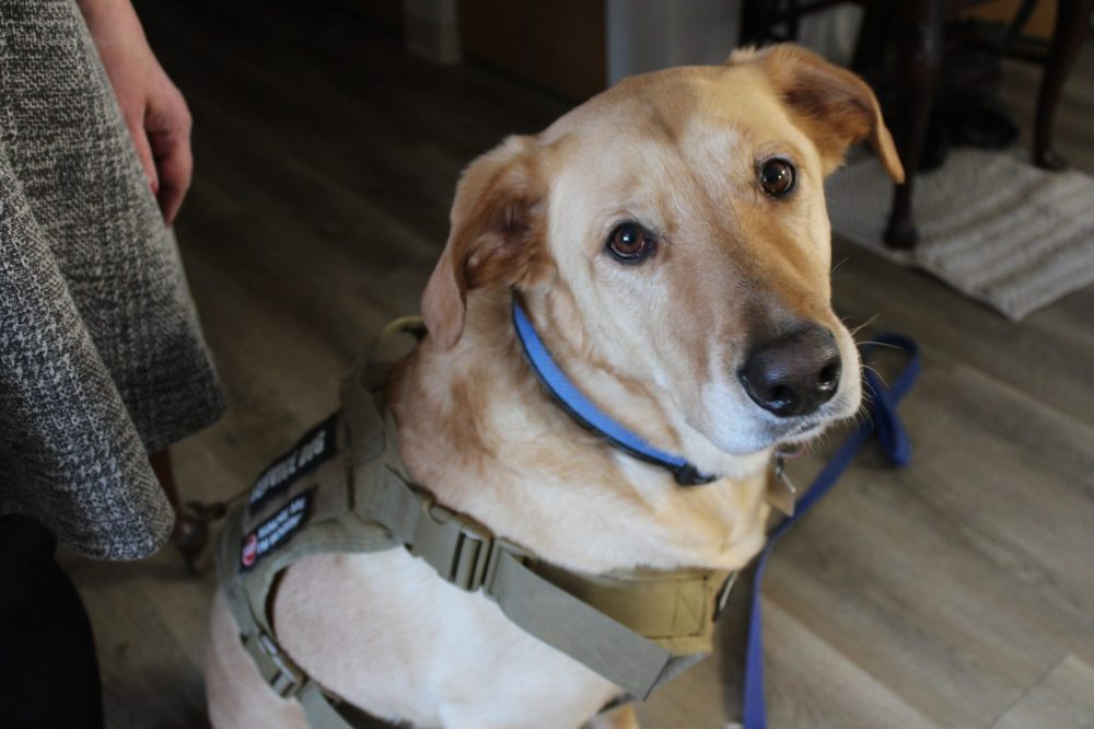 GREG VANDERMEULEN THE CARILLON
Marcus helps Stanley cope with PTSD symptoms.