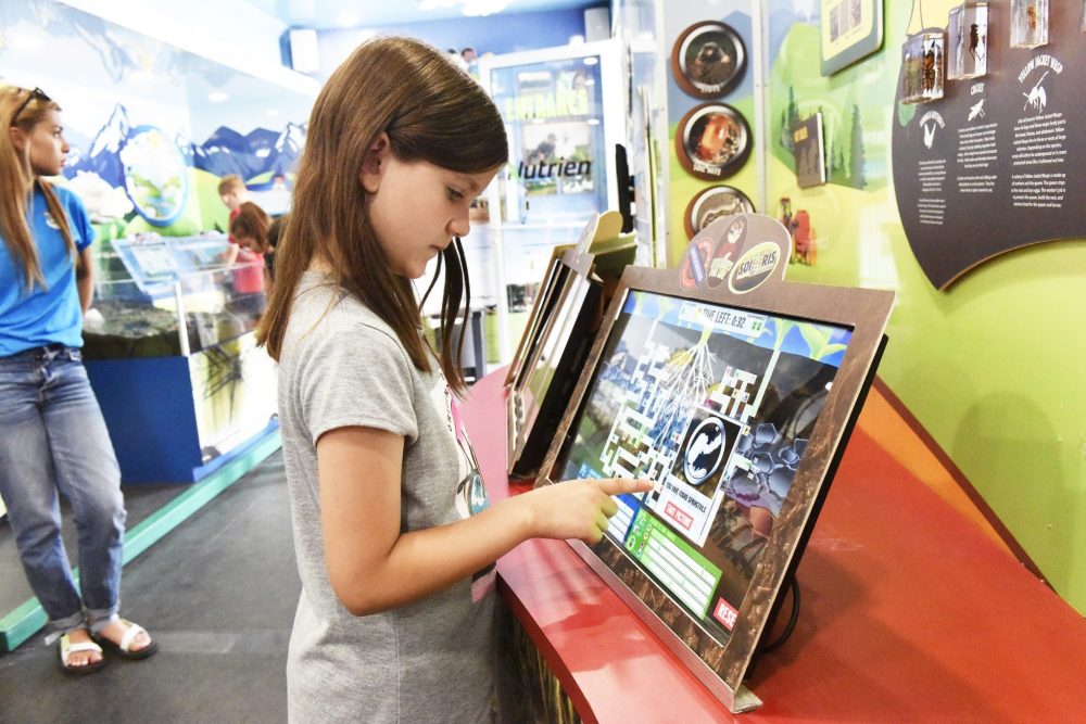 SVJETLANA MLINAREVIC The Carillon
Second grader Dallas Friesen plays an agricultural game on raising plnats on June 9, 2023. The activity was part of Agriculture in the Classroom’s Seed Survivor program, which teaches students about plants and how to grow them.