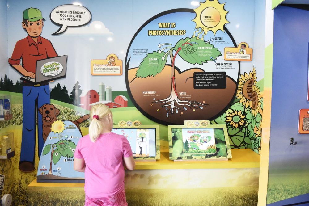 SVJETLANA MLINAREVIC The Carillon
A second grader plays an agricultural game on raising plants on June 9, 2023. The activity was part of Agriculture in the Classroom’s Seed Survivor program, which teaches students about plants and how to grow them.