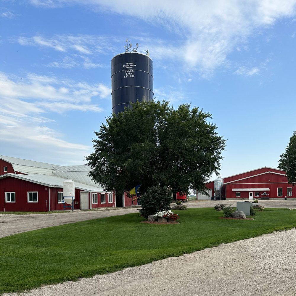 SUPPLIED
Laingspring Farm has been home for five generations of the Laing family, since it was established by one of the earliest Clearsprings settlers in 1872.