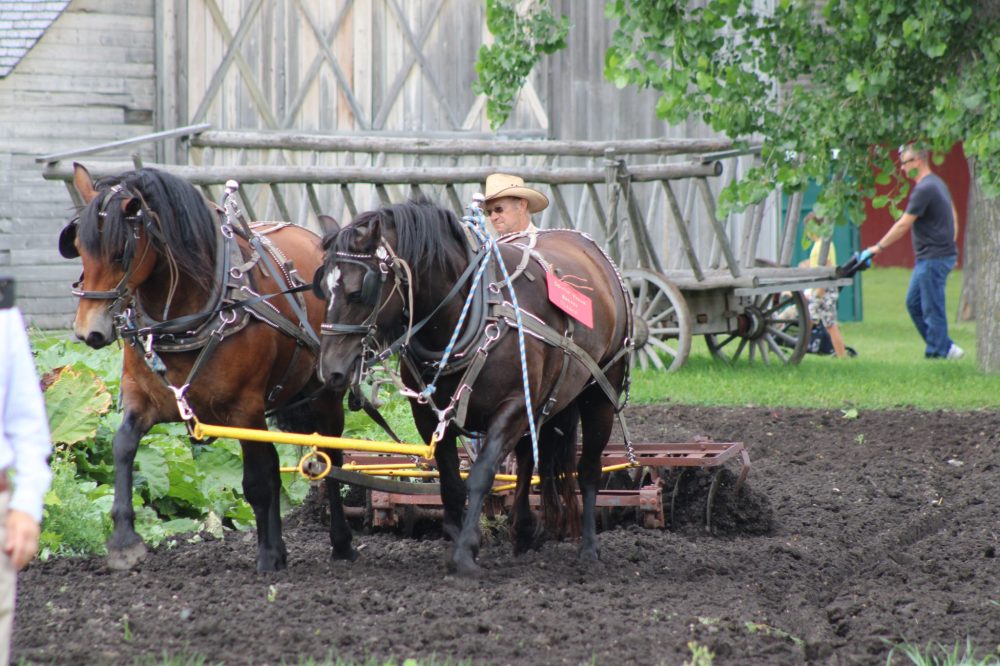 GREG VANDERMEULEN CARILLON ARCHIVES
Demonstrations such as this team discing at least year’s event, are once again a big part of Pioneer Days.