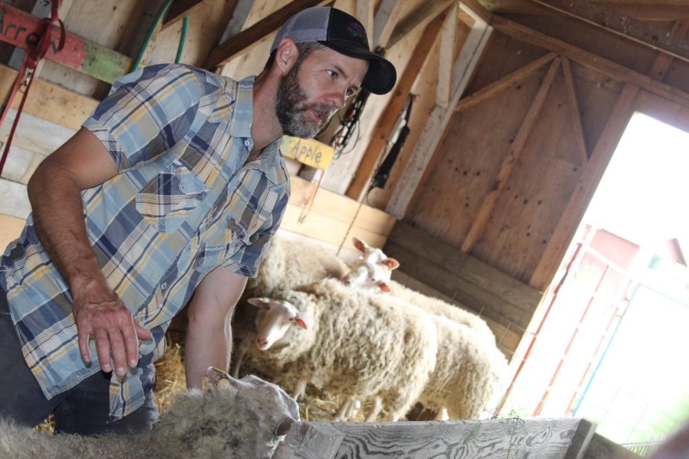 CHRIS GAREAU The Carillon
Guy Bouchard introduces the sheep kind enough to donate their wool for the Farm, Fibre, Food & Friends experience at his Green Pastures Farm.