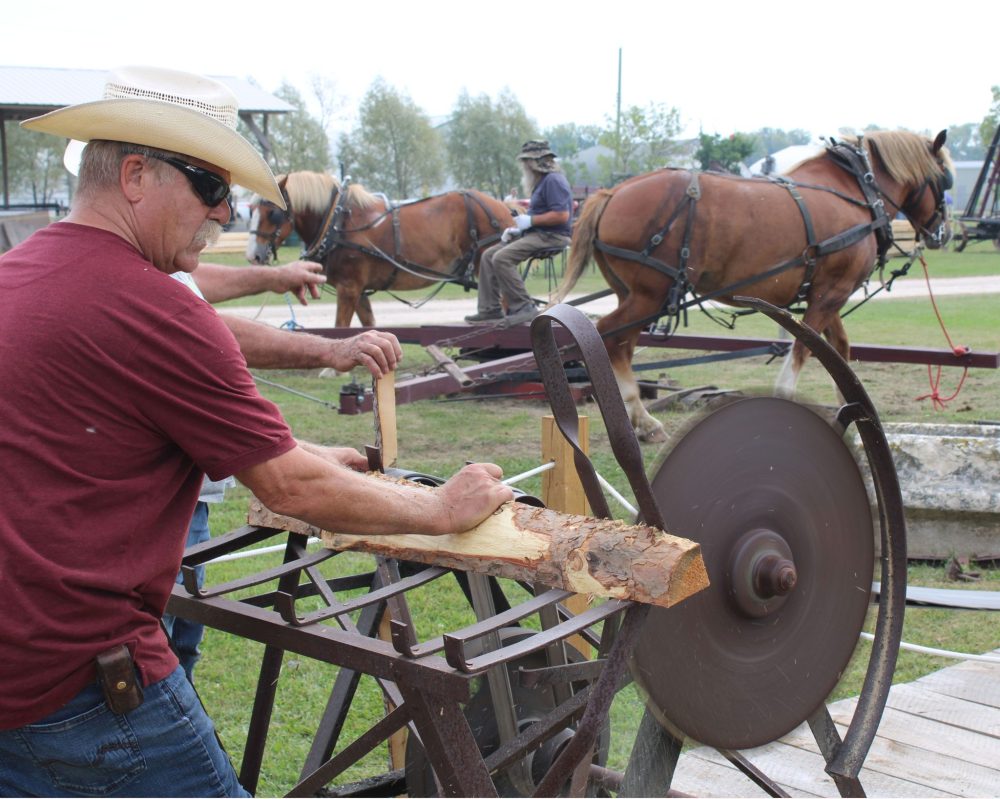 GREG VANDERMEULEN THE CARILLON
With a pair of Belgians providing the power for the saw SEDHA member Harold Klassen saws another piece of firewood at the Mennonite Heritage Village Museum during Fall on the Farm.