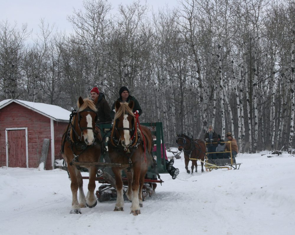 JANET KEHLER
Every year the club hosts Christmas on the Farm. It is a tin for the bin event, and the donations are delivered to local food banks.