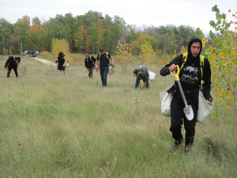 Submitted
First Nation professional planters hired by Tree Canada finished planting the 350,000th tree of the year for southern Manitoba in Roseau River First Nation Oct. 4. The white spruces were also planted near Mitchell, Lorette, Anola and Morden.