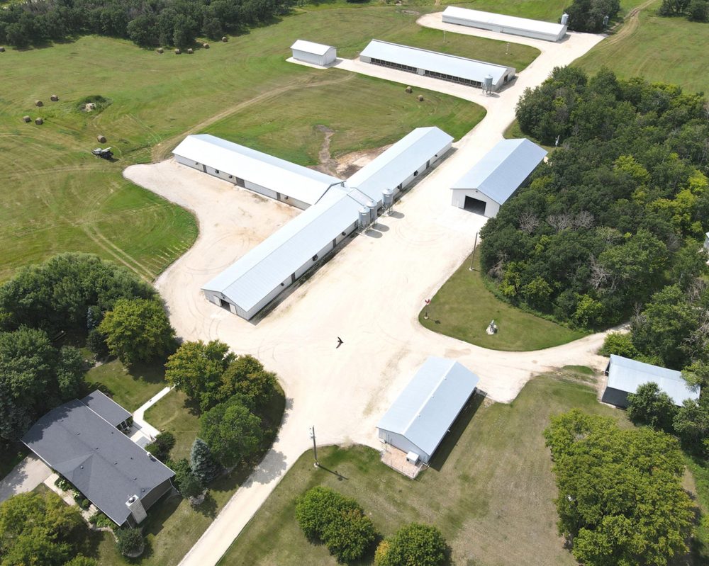 TIMBERLINE
Timberline Farms produces nearly 60,000 turkeys a year in five barns near Gunton, in the Interlake.