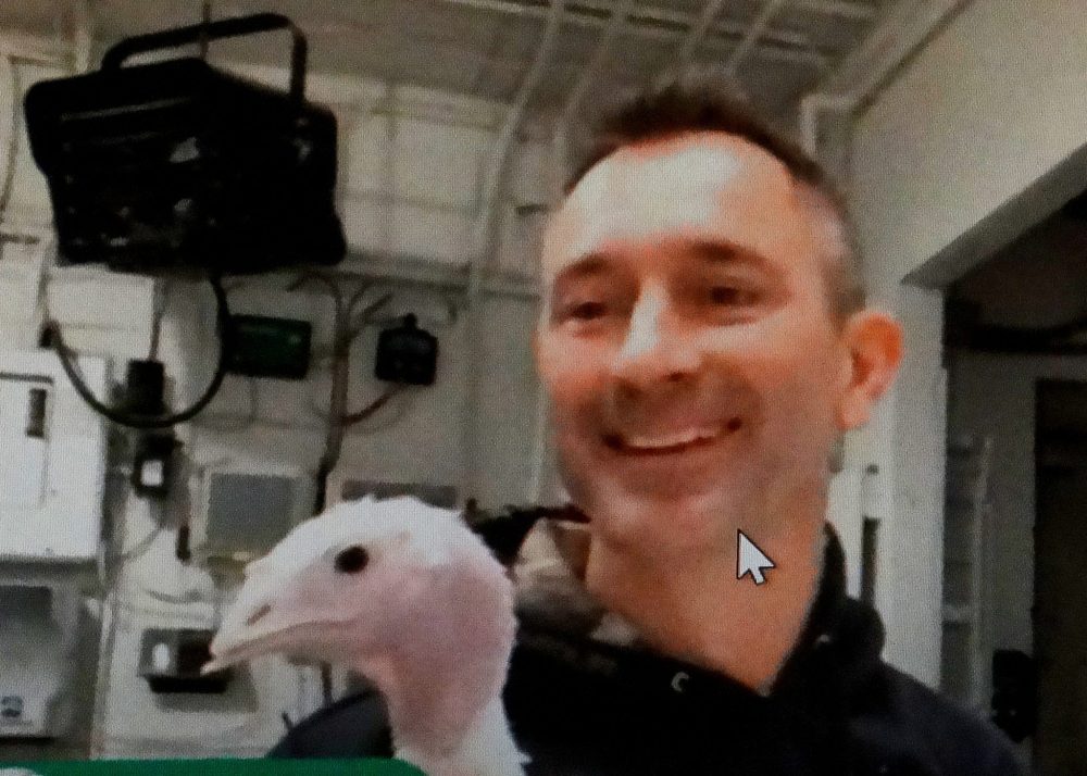 AGRICULTURE IN THE CLASSROOM
Holding a nine-week old bird, Quentin fields questions from students during a virtual visit to Manitoba schools early in November.