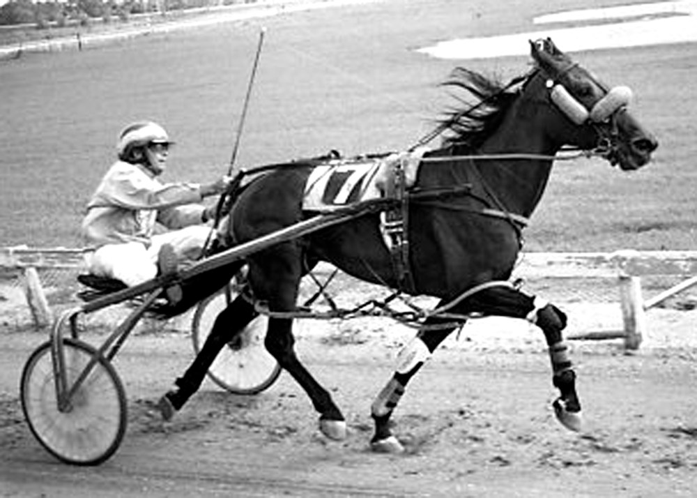 Art Grundy, who has been involved in harness racing for 40 years, is confident the upcoming sale of Assiniboia Downs will pave the way for the return of harness racing to the 35-year-old track.