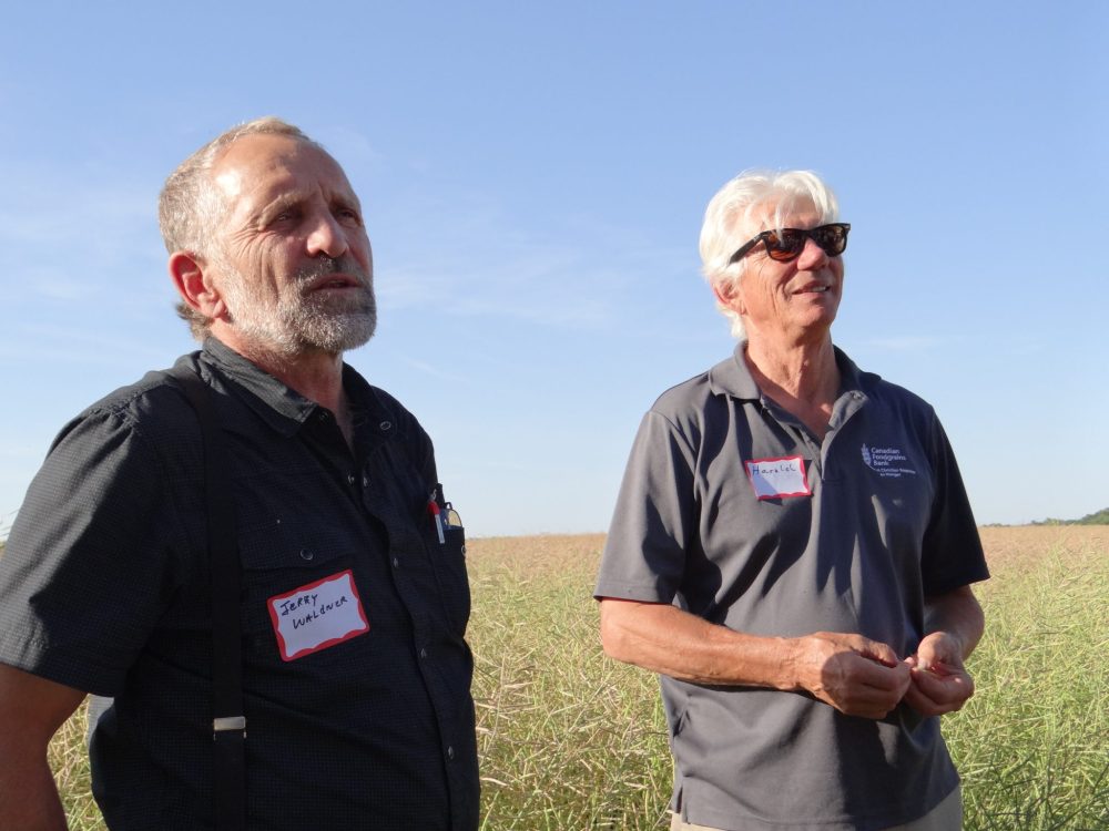 WES KEATING THE CARILLON
Crystal Springs farm manager Jerry Waldner and MCC’s Harold Penner at a Grow Hope field during a 2017 donors’ tour. This year, the colony’s 80-acre Grow Hope field yielded 65 bushels to the acre for the Canadian Foodgrains Bank program.