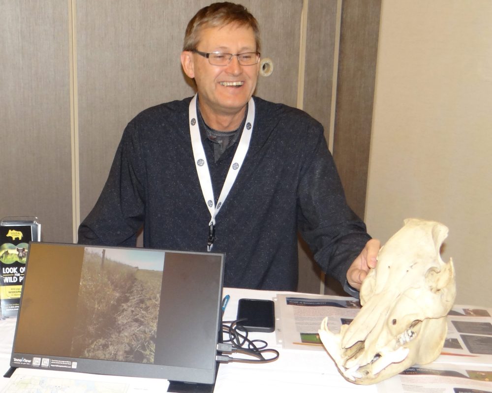 WES KEATING THE CARILLON
Doug Lacombe, an Eastern Manitoba field operations technician, with the skull of a 250-pound wild boar at the Squeal on Pigs Manitoba display during KAP’s annual meeting in January.
