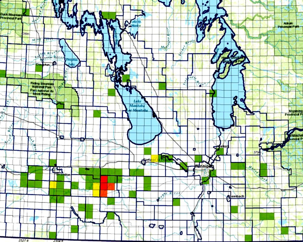 SQUEAL ON PIGS
Green blocks on the latest Squeal on Pigs sightings map show how widespread the problem of wild pigs is in Manitoba. The red and orange blocks indicate the larger numbers seen in the Brandon area.