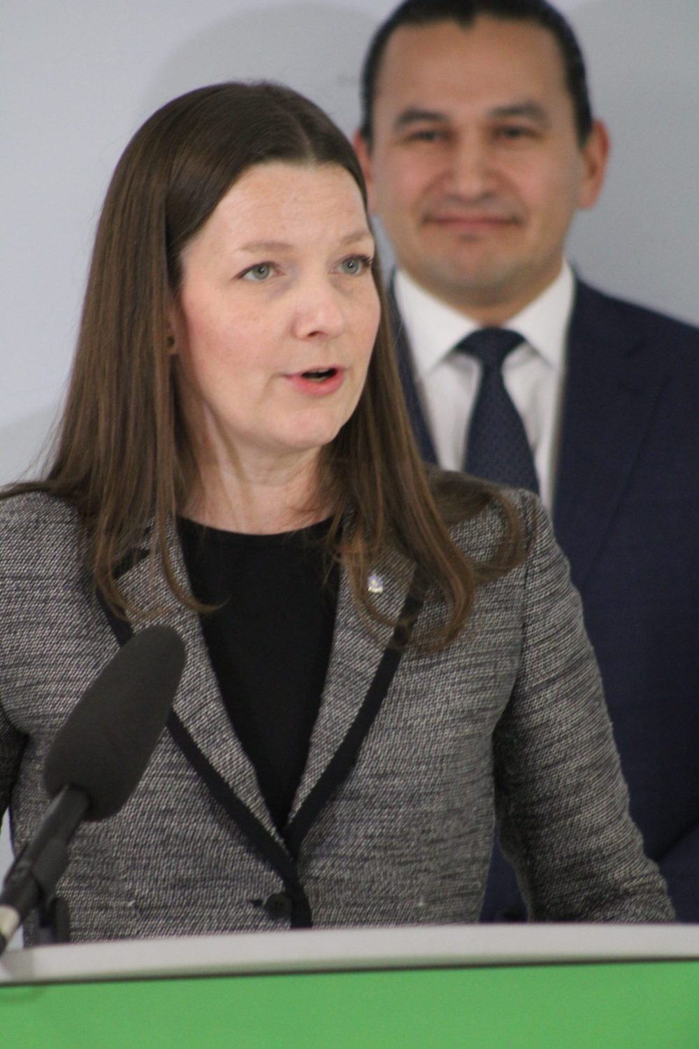 GREG VANDERMEULEN THE CARILLON
Environment and Climate Change Minister Tracy Schmidt echoed Premier Wab Kinew’s comments, adding that the decision was hers, and did not reflect consensus in the department.