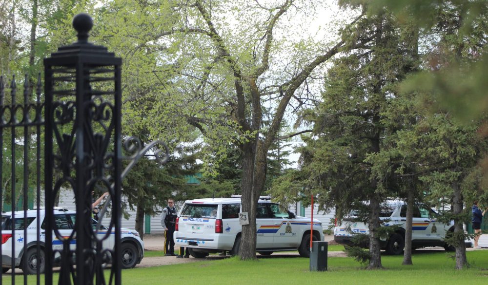 CHRIS GAREAU THE CARILLON
A black bear that ran into a Steinbach residential backyard was put down by RCMP on Victoria Day.