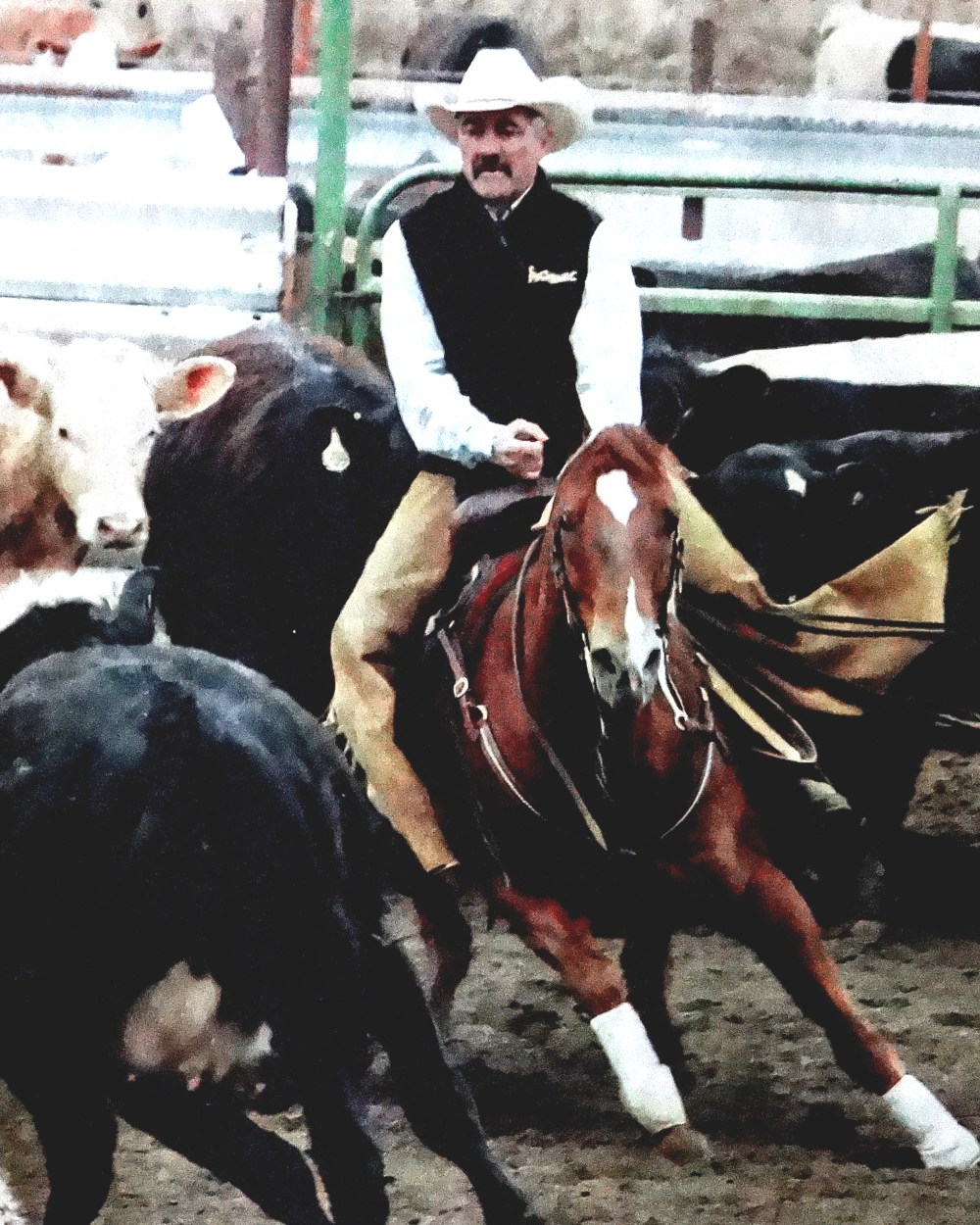 Robert Krentz won a pair of national cutting horse titles in the past year on his horse DFL Docs D’Or.