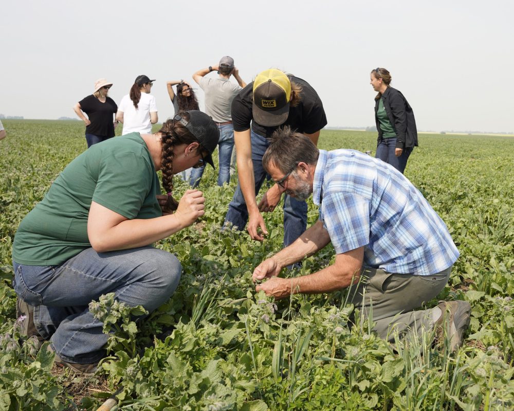 COG PHOTO
Field day participants closely examine soil health in a borage field.