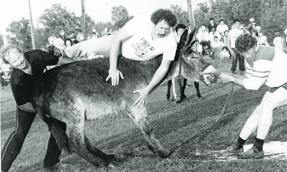 Participants in a donkey baseball game, to raise funds for artificial ice for the Grunthal Arena, found the donkey could be as stubborn as a mule when it didn’t feel like running the bases.