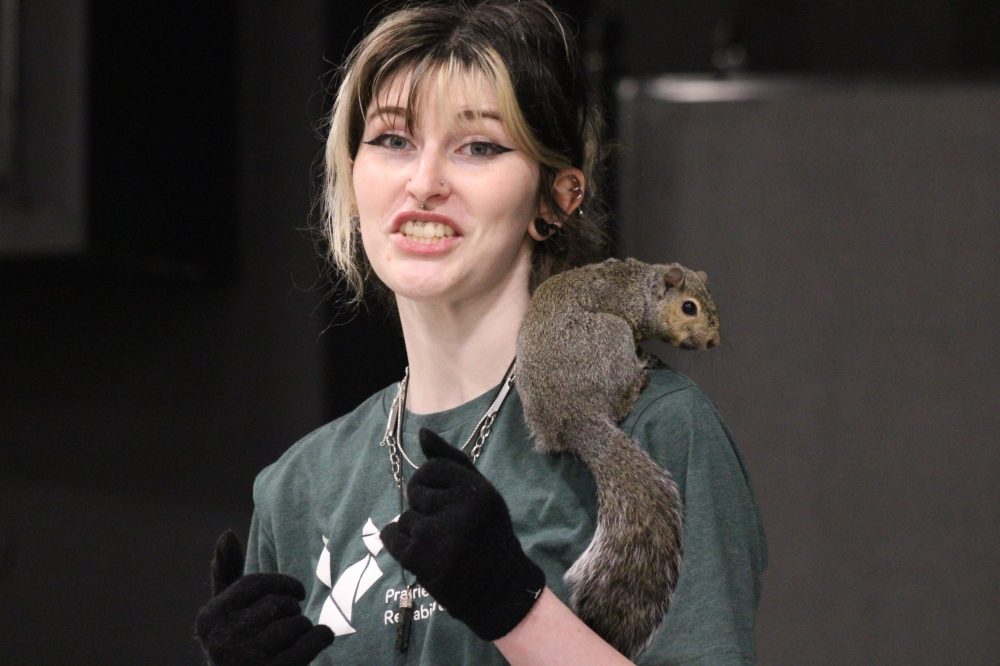 GREG VANDERMEULEN THE CARILLON
Miss Butters, a grey squirrel treats volunteer Emma Tardiff as a tree during her presentation.