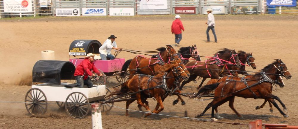 ALEX LAMBERT THE CARILLON
Chuckwagon racing took place on Friday with competitors cracking the whip to run around the track in winning time.