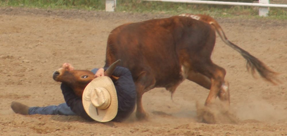 ALEX LAMBERT THE CARILLON
Steer wrestling.