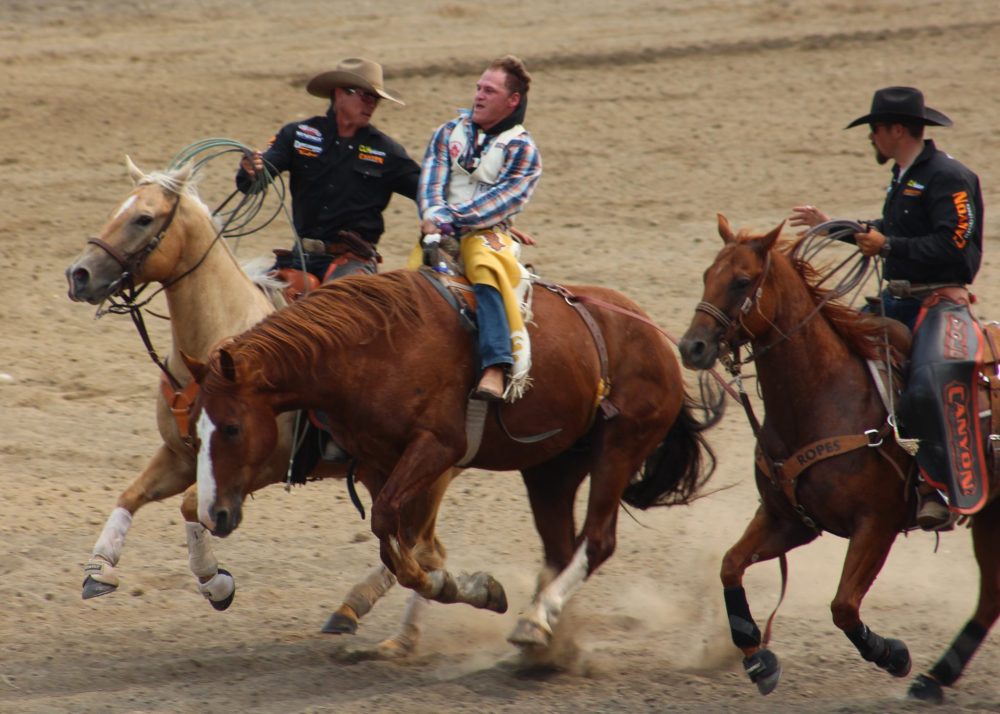 ALEX LAMBERT THE CARILLON
A bucking horse fails to buck off a competitor in eight seconds, earning the competitor valuable points and garnering help from stadium officials.
