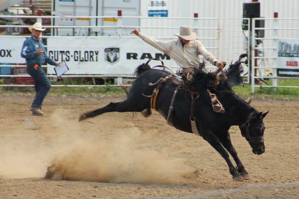 ALEX LAMBERT THE CARILLON
Manitoba Stampede and Exhibition 2024.