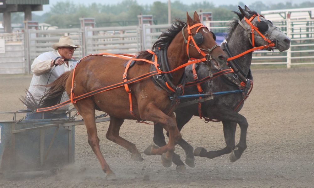 CHRIS GAREAU CARILLON ARCHIVES
Chariot racing is just one of the exciting events taking place at the Manitoba Stampede & Exhibition in Morris from July 19 to July 21.