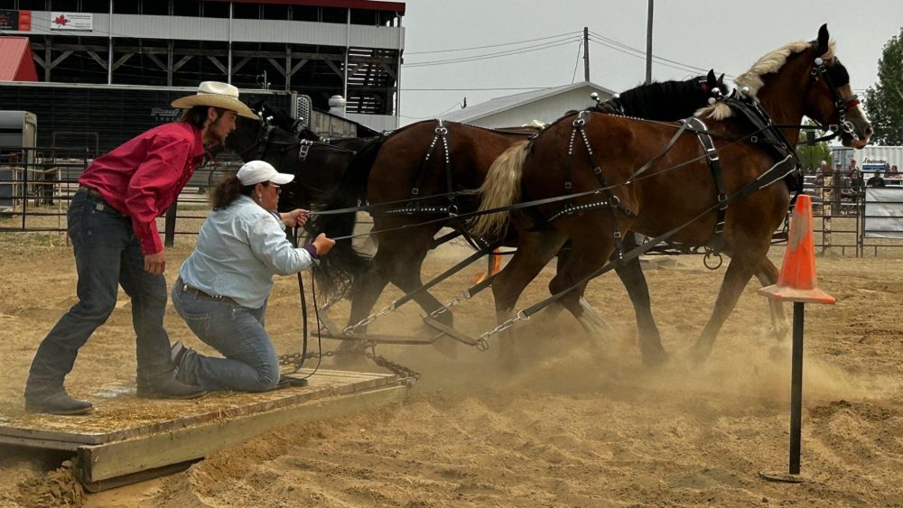 CHRIS GAREAU THE CARILLON
Manitoba Stampede and Exhibition 2024.