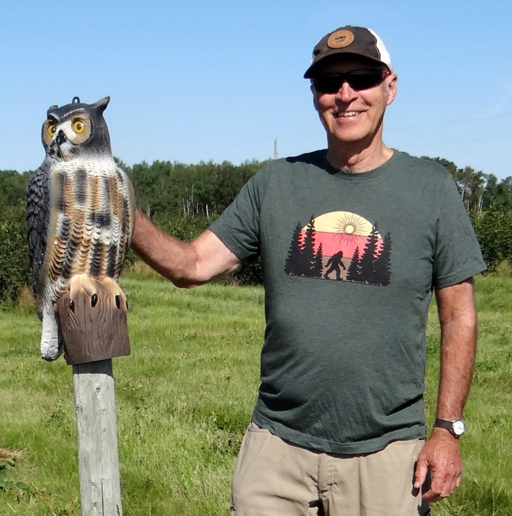 WES KEATING THE CARILLON 
Harvey says their owl is not the high tech model that moves its head to scare away birds, but it still does the job and they have suffered very little bird damage to the berry patch over the years.