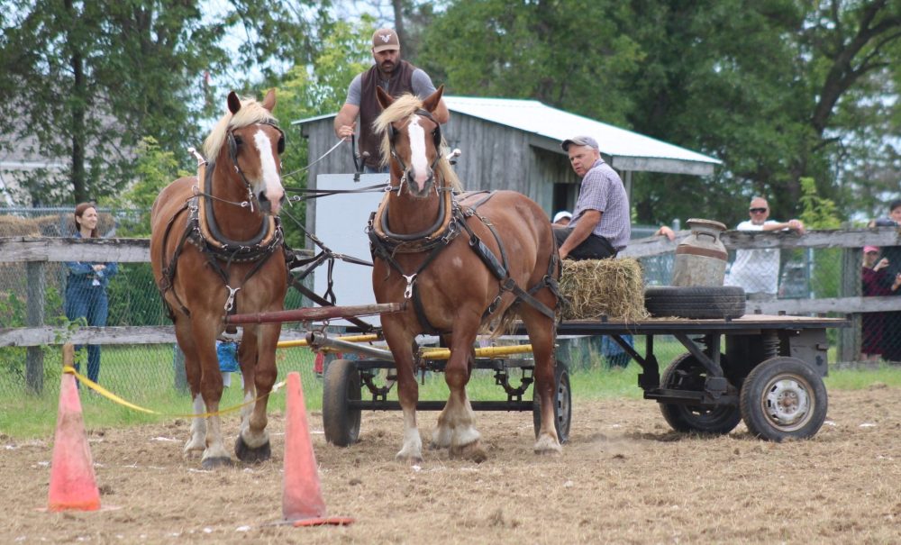 GREG VANDERMEULEN THE CARILLON
Pioneer Days 2024.