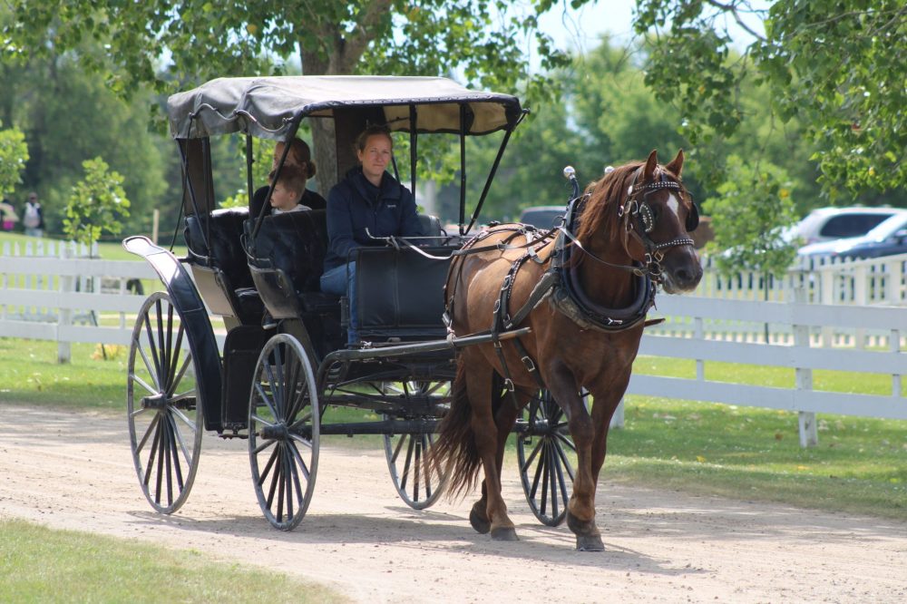 GREG VANDERMEULEN THE CARILLON
Pioneer Days 2024.