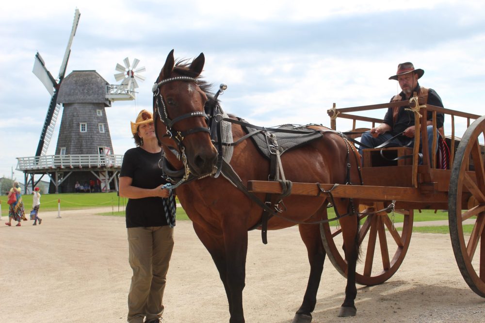 CHRIS GAREAU THE CARILLON
Pioneer Days 2024.