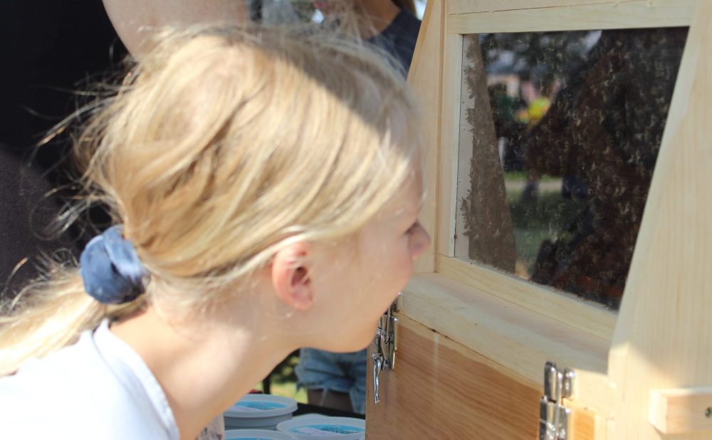 CHRIS GAREAU THE CARILLON
Abigail Reimer, 10, made the trip from La Broquerie to visit the Kleefeld Honey Festival and the bees at O.V. Honey Farms' booth.